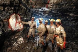 Agens Bantu Sodium Carboxymethyl Cellulose Berkualitas Pertambangan